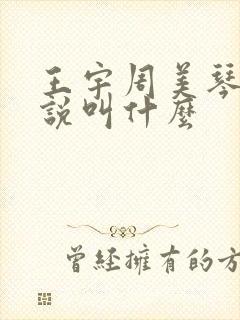 王宇周美琴的小说叫什么