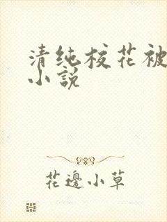 清纯校花被蹂躏小说封面