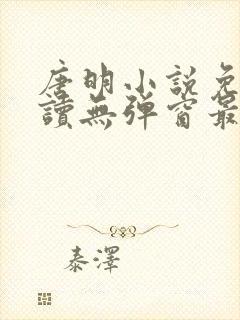 唐明小说免费阅读无弹窗最新章节下载封面