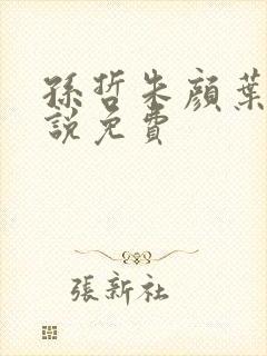 孙哲朱颜叶巧小说免费