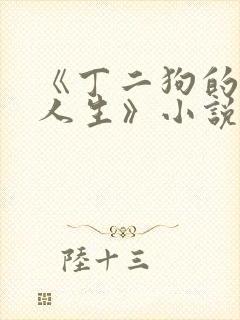 《丁二狗的逍遥人生》小说封面