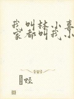 我叫林小喜 大家都叫我小喜小说