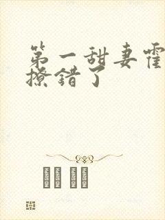 第一甜妻霍先生撩错了