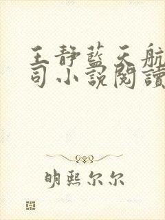 王静蓝天航空公司小说阅读封面