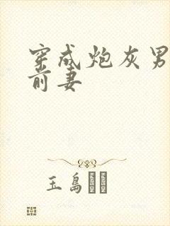 穿成炮灰男主的前妻封面