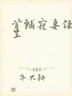 首辅宠妻录(重生