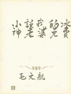 小说我的冰山女神老婆免费阅读