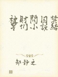 被财阀囚禁的明星们小说结局封面