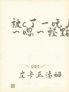 被c了一晚上啊～嗯～轻点小说