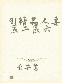 91精品人妻一区二区六