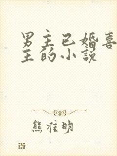 男主已婚喜欢女主的小说