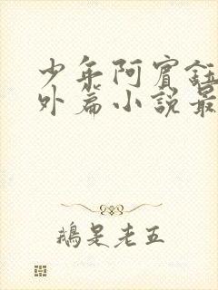 少年阿宾钰慧番外篇小说最新章节列