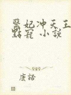 医妃冲天王爷轻点宠 小说