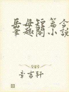 岳母短篇合集_笔趣阁小说封面