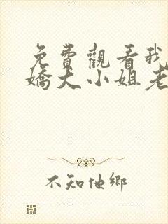 免费观看我的傲娇大小姐老婆