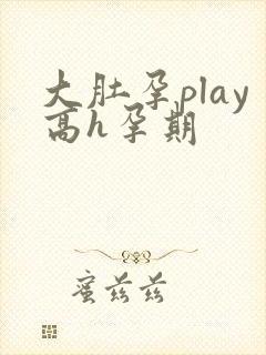 大肚孕play高h孕期