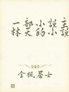 一部小说主角叫林天的小说封面