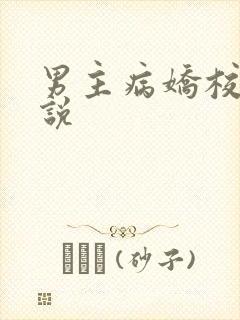 男主病娇校园小说