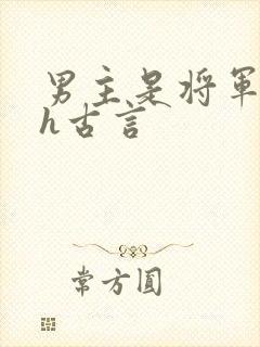 男主是将军的高h古言