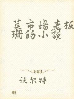 菜市场老板与芷珊的小说