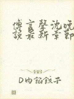 傅言声沈晚柔小说最新章节更新