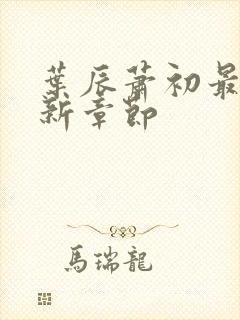 叶辰萧初最新更新章节