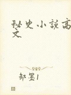 秘史小说高辣h文
