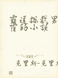 霸道总裁男主姓霍的小说封面