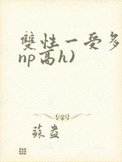双性一受多攻(np高h)