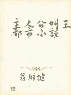 主人公叫王浩的都市小说