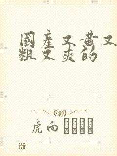 国产又黄又猛又粗又爽的