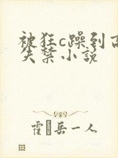 被狂c躁到高潮失禁小说