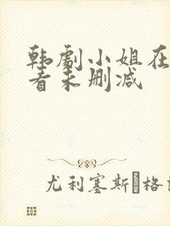 韩剧小姐在线观看未删减