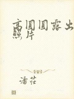 高圆圆露出奶头照片