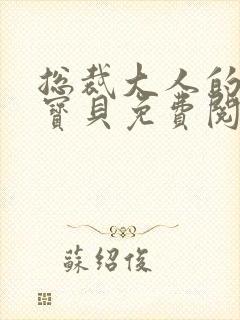 总裁大人的私有宝贝免费阅读封面