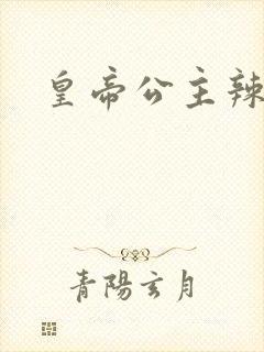 皇帝公主辣文封面