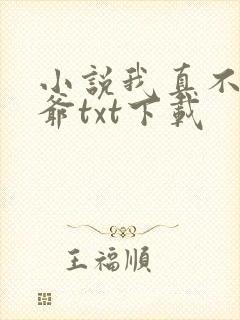 小说我真不是法爷txt下载