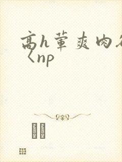 高h荤爽肉欲文〈np