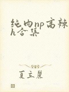 纯肉np高辣文h合集