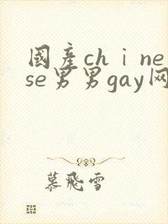 国产chⅰnese男男gay网站