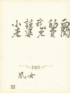 小说我的白富美老婆免费阅读原文封面