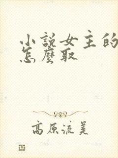 小说女主的名字怎么取封面