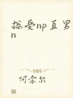 总受np直男苏n封面