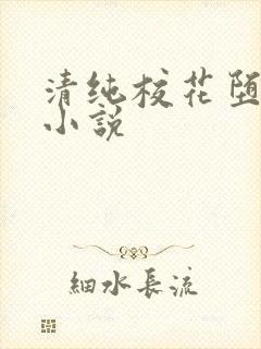 清纯校花堕落记小说