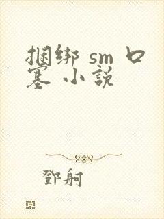 捆绑 sm 口塞 小说