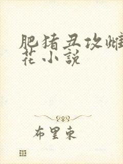 肥猪丑攻雌堕校花小说封面