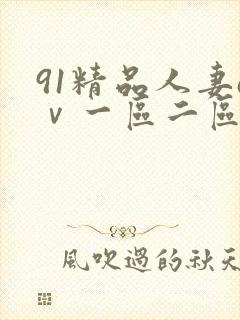 91精品人妻aⅴ一区二区封面