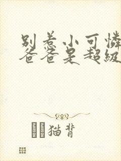 别惹小可怜,她爸爸是超级女儿奴短剧