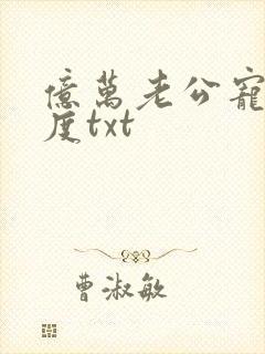 亿万老公宠妻无度txt