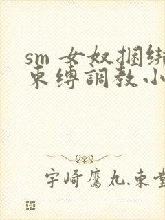 sm 女奴捆绑束缚调教小说封面